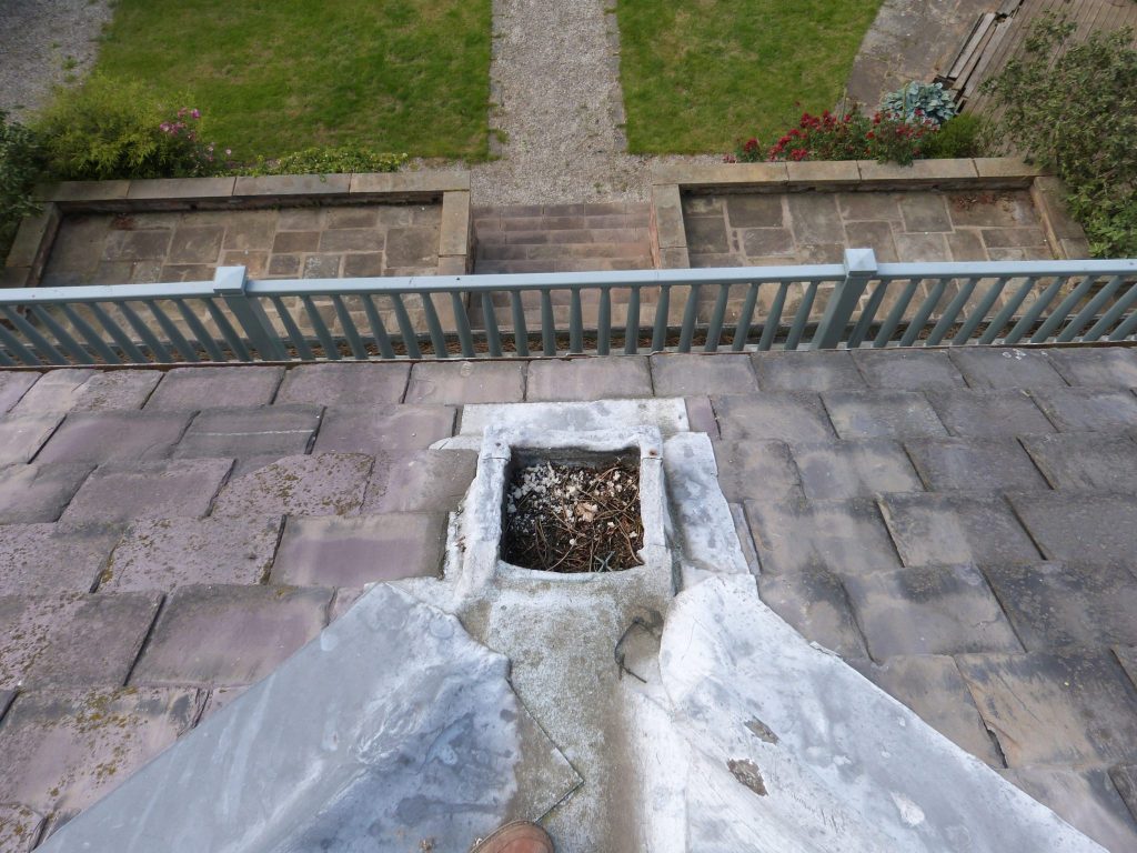 Drone Roof Inspection