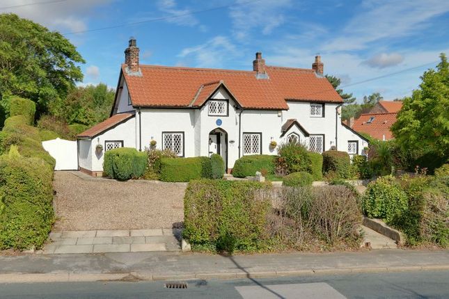 roofers hull