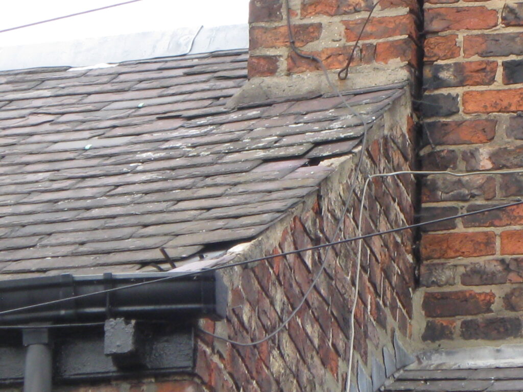 roof health check