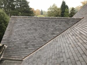proctor roofing membranes