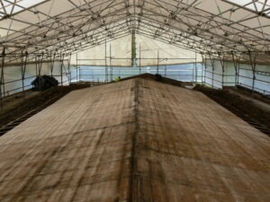 boarded roof on church