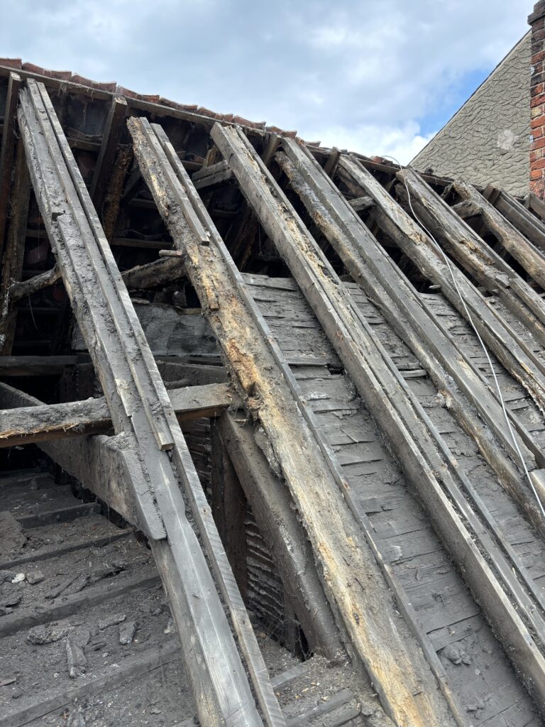 timber conservation