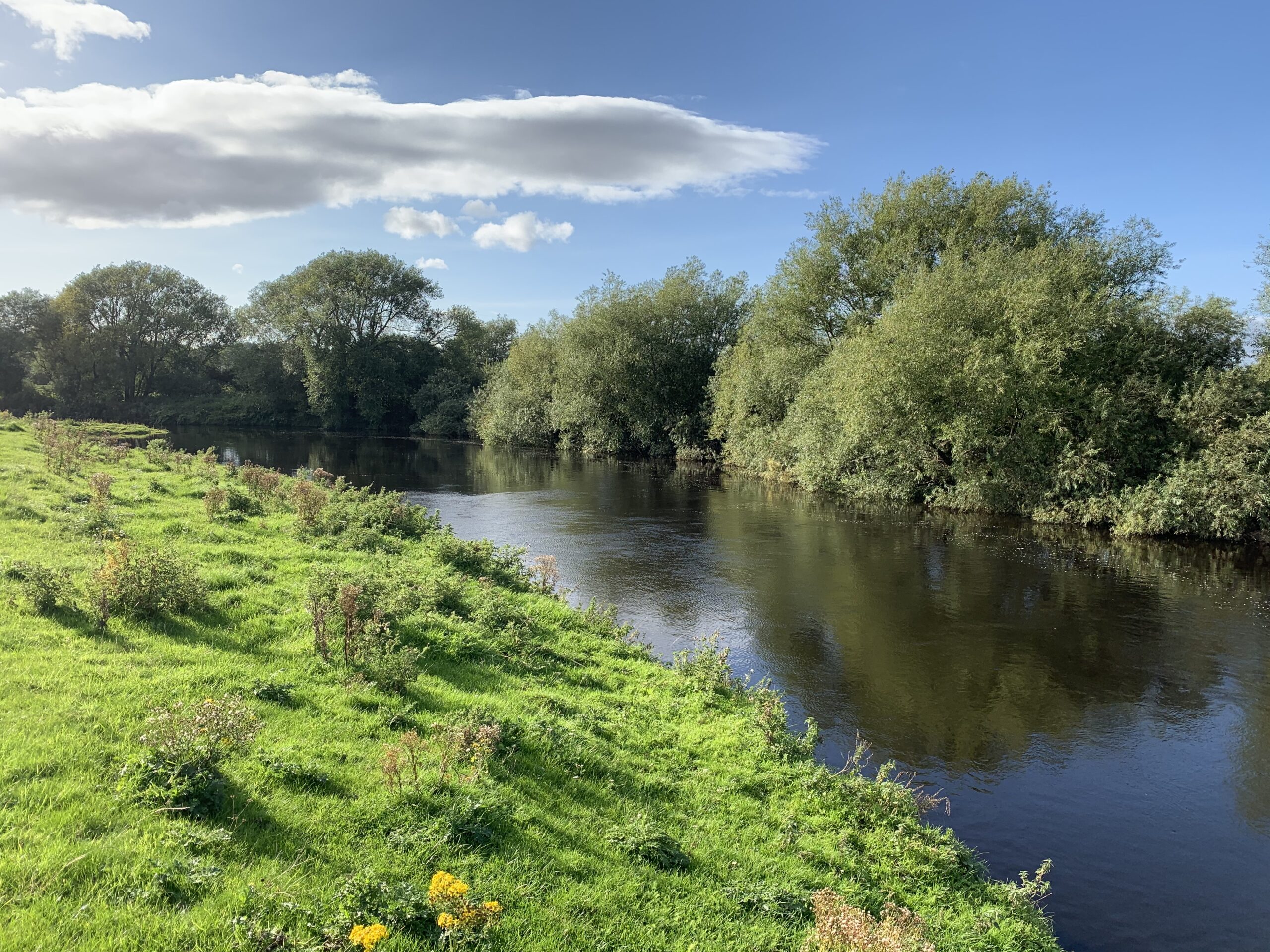 Neal Roofing