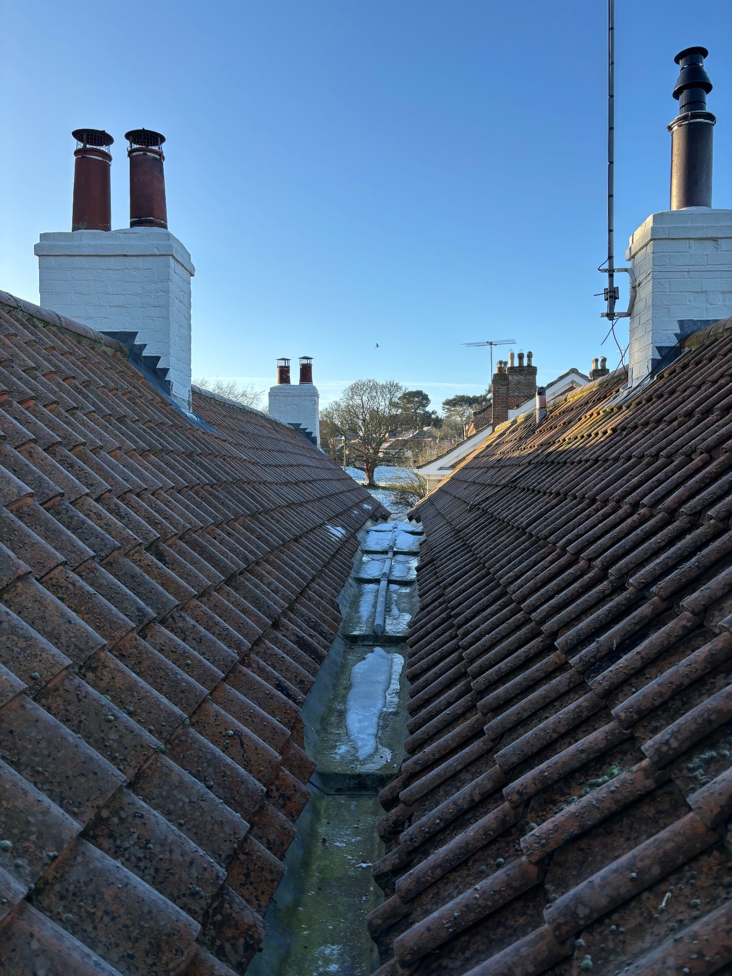 Roof Health Check