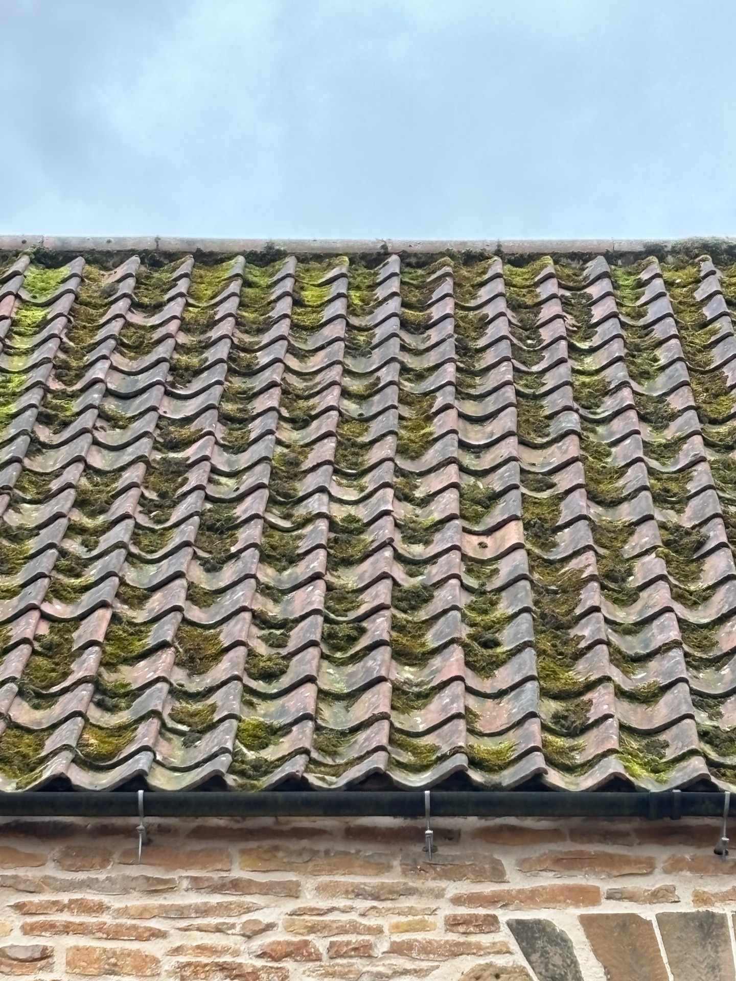 Roof Health Check