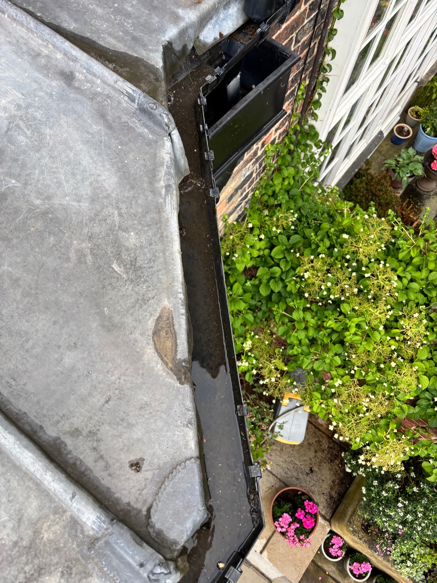 roof leaks and blocked gutters