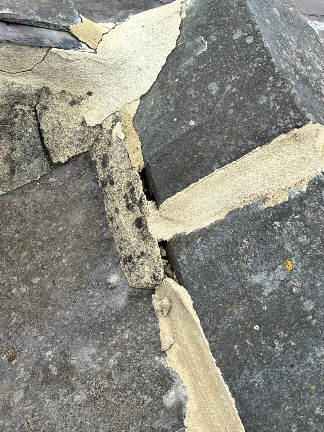 Roof Leaks