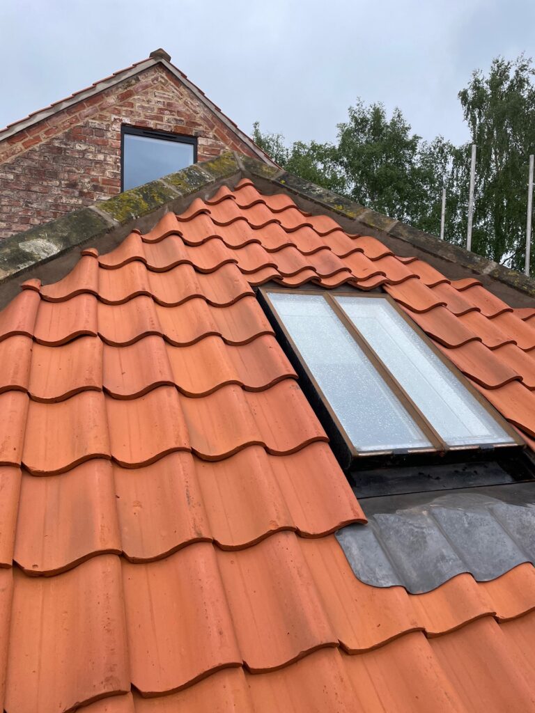roof pointing