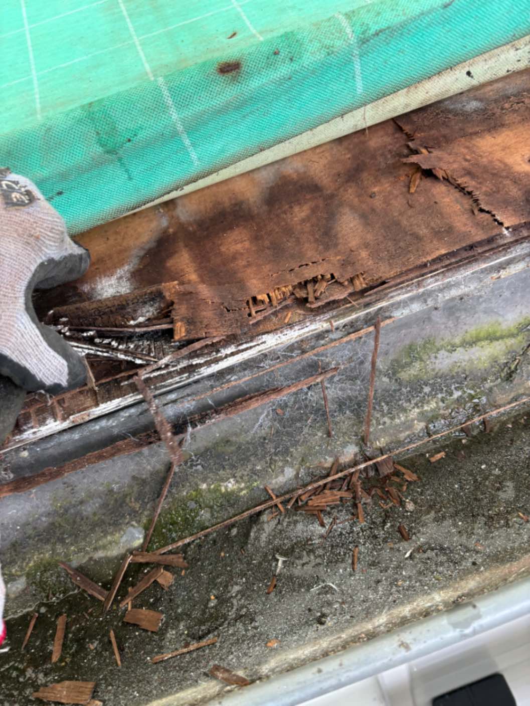 Zinc Roof Failure Investigation